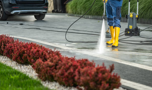 Best Affordable Power Washing  in Fenton, MI