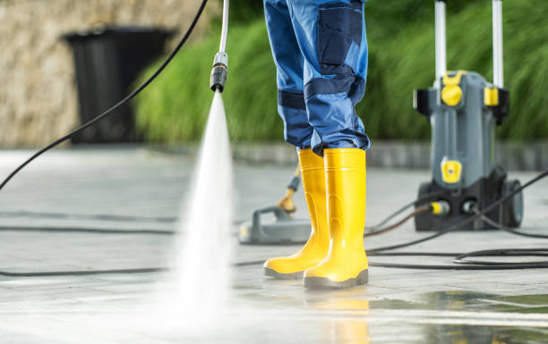 Best Local Pressure Washing Services  in Fenton, MI