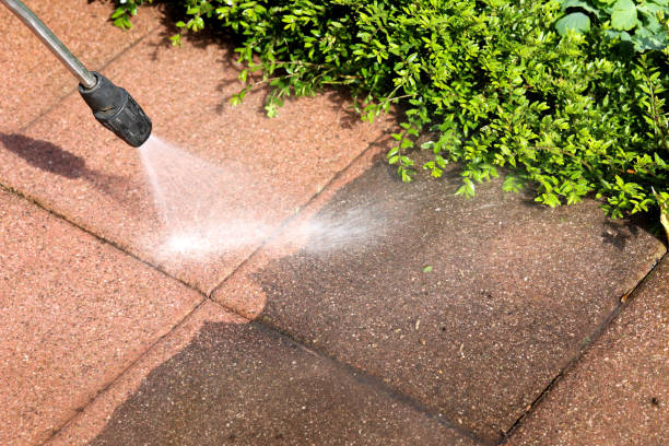 Best Exterior Home Cleaning  in Fenton, MI