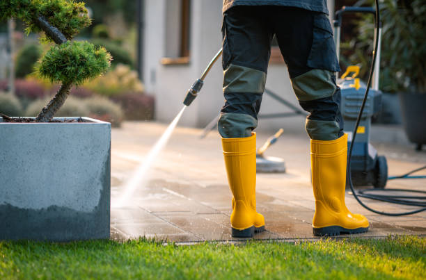 Best House Pressure Washing  in Fenton, MI